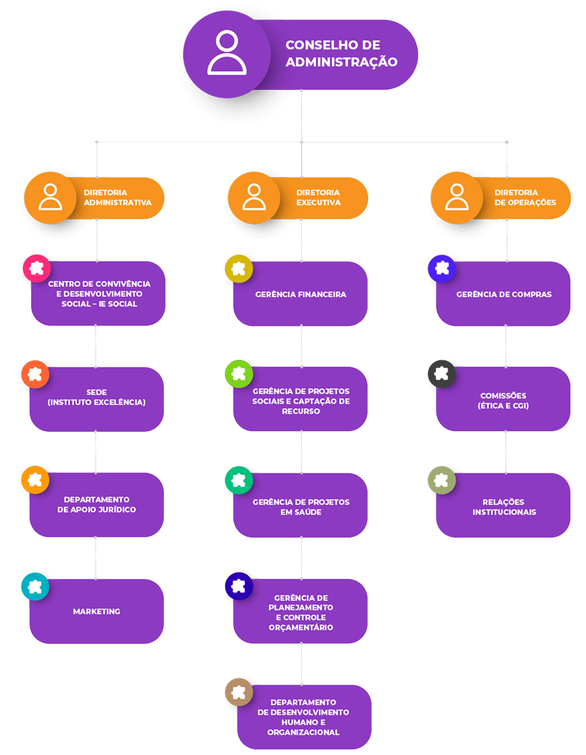 Organograma de hierarquias do Instituto Excelência